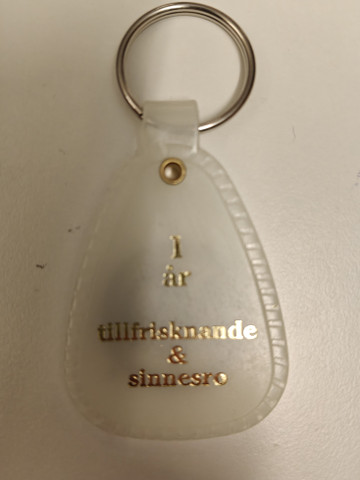 Nyckelring: GLÄNSANDE (1 År)