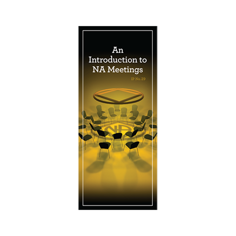IP #29 Intro to NA Meetings