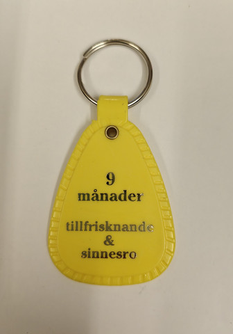 Nyckelring: GUL (9 Månader)