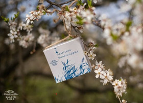 Saariston Suolasaippua