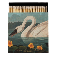 Archivist tulitikkurasia American Swan
