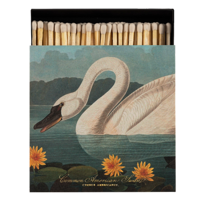 Archivist tulitikkurasia American Swan