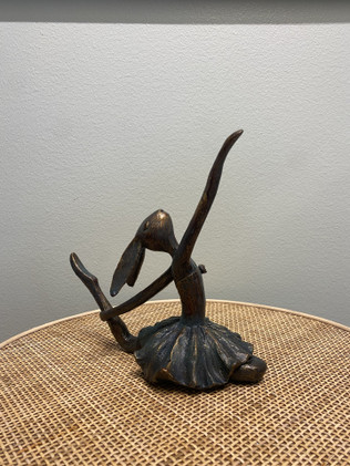 Ballerina pupu 2