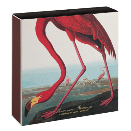 Archivist tulitikkurasia American Flamingo