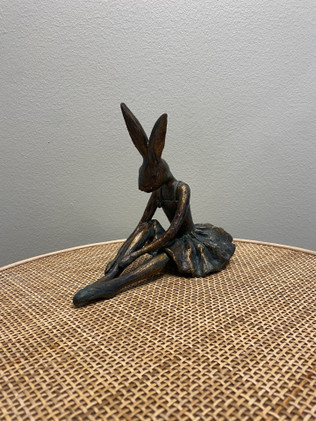 Ballerina pupu 1