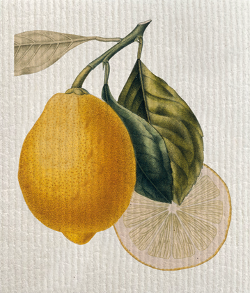 Tiskiliina sitruuna