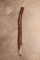 Pen