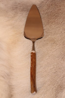 Cake Shovel sharp