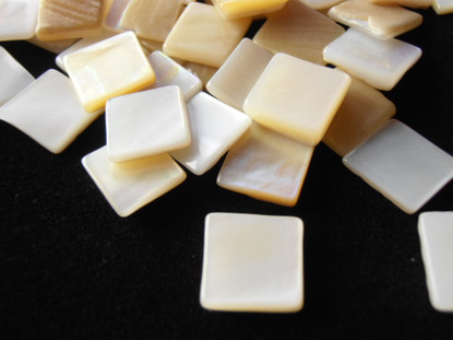 Mother of pearl, 10x10 mm, 200g