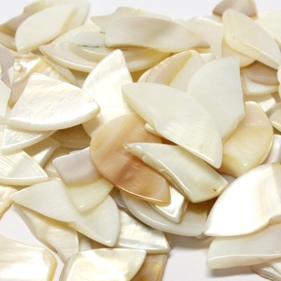 Mother of pearl, Irregular, 50g