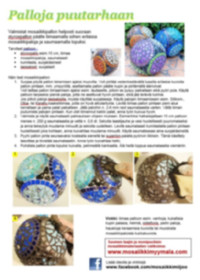 Mosaikboll, instruktion