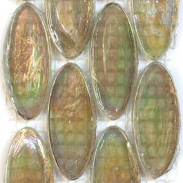 Ellipse, Tibet, 6 pcs, transparent
