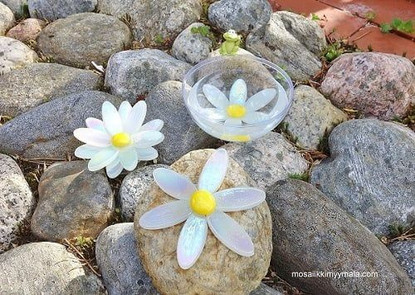 Päivänkakkara, DIY