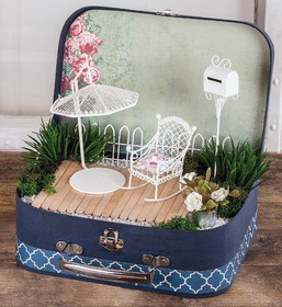 Vaniljgräs, 7 cm, 6 st