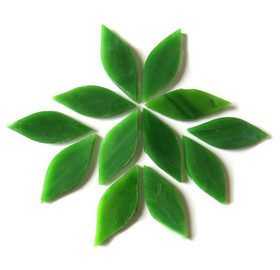 Småa kronblad, Spanish Moss, 12 st