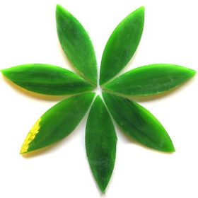 Stora kronblad, Spanish Moss, 7 st