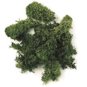 Iceland moss, 30 g, Dark Green