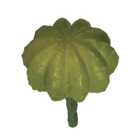 Ball cactus, 5 x 6.5cm