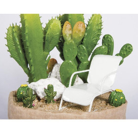 Columniform cactus, 11,5 x 6,5 cm