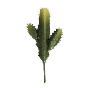 Columniform cactus, 11,5 x 6,5 cm
