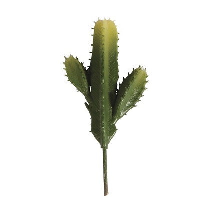 Pelarkaktus, 11,5 x 6,5 cm