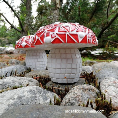 Mosaic mushroom, instruction