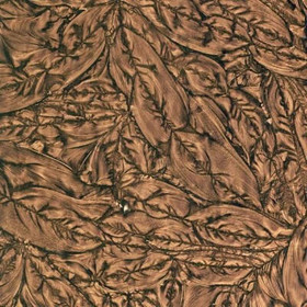 Van Gogh 5x10 cm, Champagne