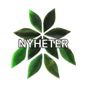 Nyheter