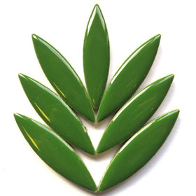 Keraaminen ellipsi, Eucalyptus, 4 palaa