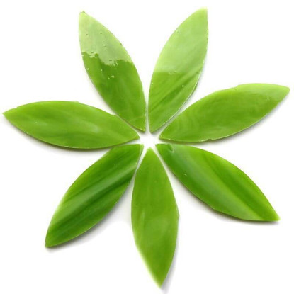 Stora kronblad, Green Tea, 7 st