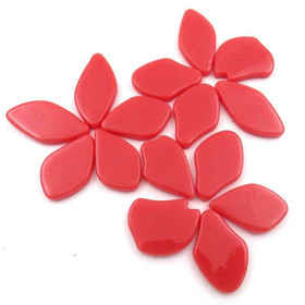 Fallen Petals: Watermelon, 50g