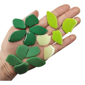 Fallen Petals: Euphorbia Mix, 250g