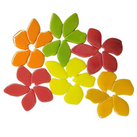 Fallen Petals: Portulaca Mix, 250g