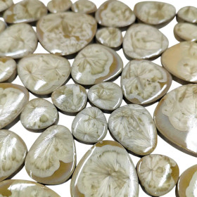 California Pebbles, Cream, ark