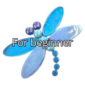 For beginner