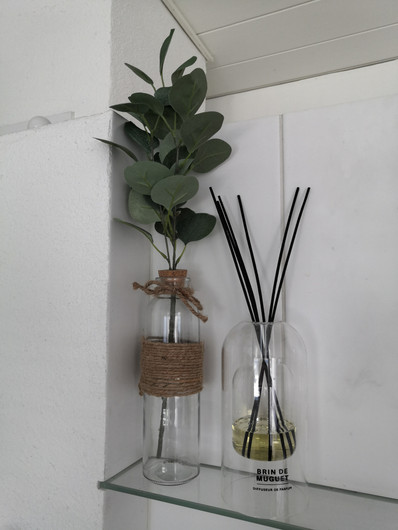 Eukalyptus tekokasvi + maljakko