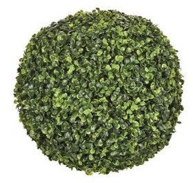 Gröna pyöreä kasvi