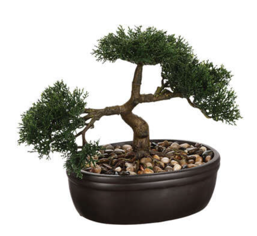 Bonsai-puu ruukussa