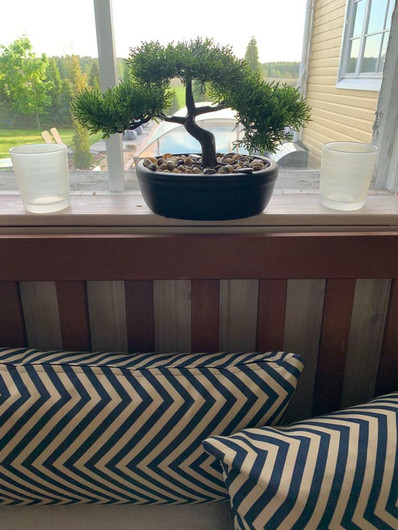 Bonsai-puu ruukussa