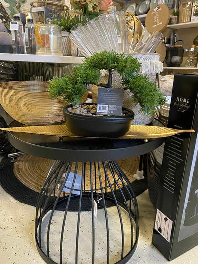 Bonsai-puu ruukussa