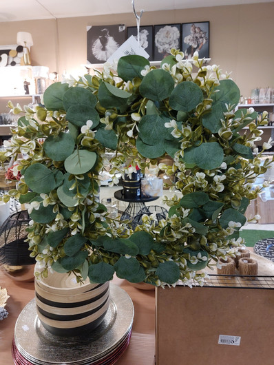 Eukalyptus kranssi