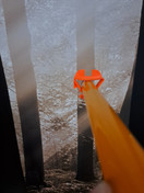 Vapaskooppi Nordforestin vapaan