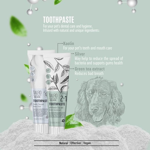 TAURO PRO LINE PURE NATURE HAMMASTAHNA HOPEAHIUKKASILLA 100ML