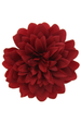 Burgundy hiuskukka