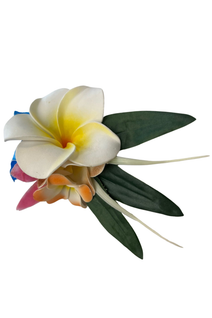 Tropical hiuskukka/ vaatekukka