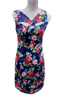 Hearts and Roses värikäs kynämekko (UK12/M)