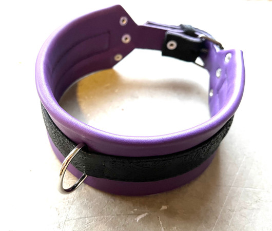 Koiranpanta (musta/violetti)