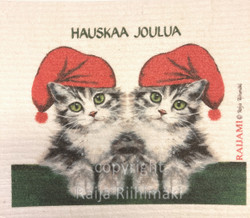 Sieniliina Joulukissat