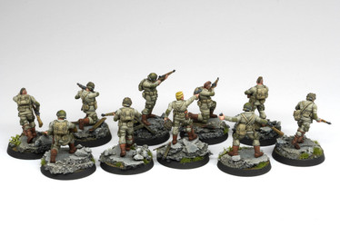 FORTUNATE SONS · 101ST AIRBORNE DIVISION · 10 MINIATURES