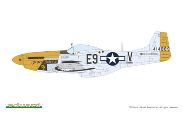 MIGHTY EIGHTH: 65th Fighter Wing